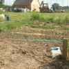 potager
