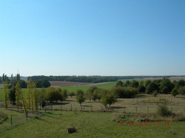 DSCN5000