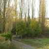 DSCN5003