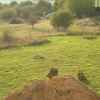 DSCN5006