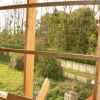 DSCN5007