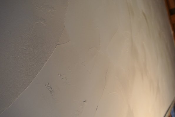 DSCN7220