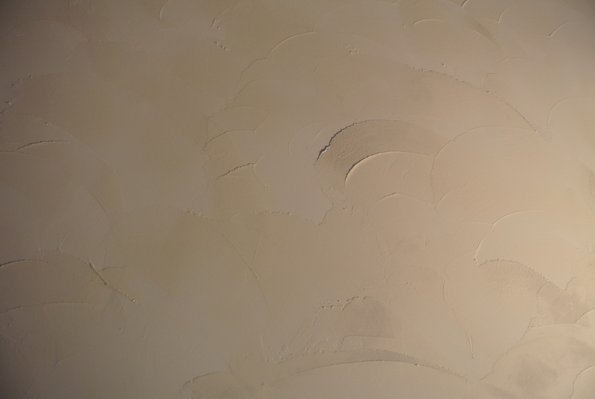 DSCN7221